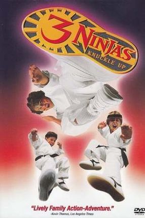 Poster: 3 Ninjas Fight & Fury
