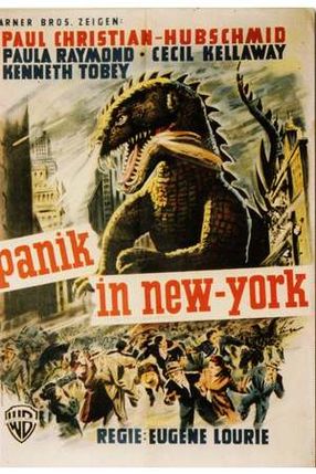 Poster: Panik in New York
