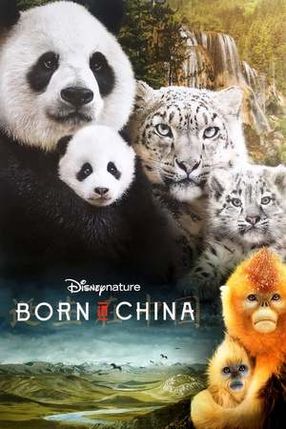 Poster: Born in China