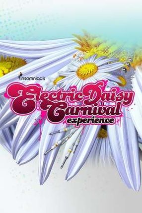 Poster: Electric Daisy Carnival Experience