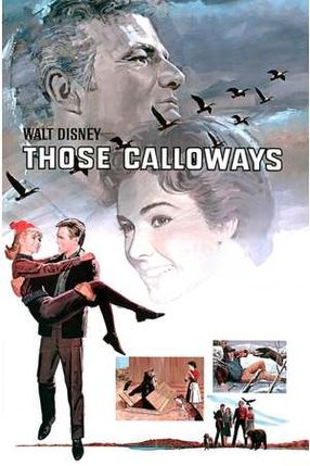 Poster: Diese Calloways