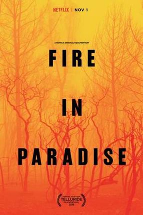 Poster: Fire in Paradise