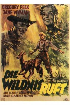 Poster: Die Wildnis ruft
