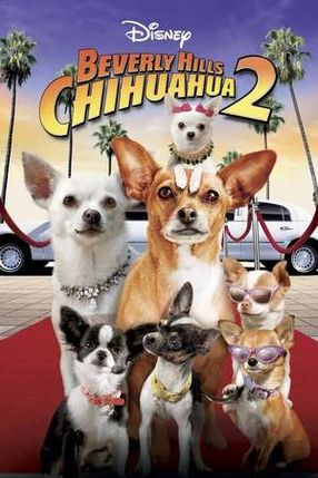 Poster: Beverly Hills Chihuahua 2