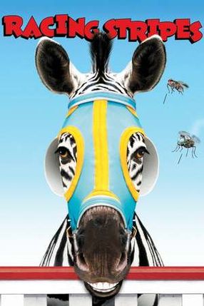 Poster: Im Rennstall ist das Zebra los