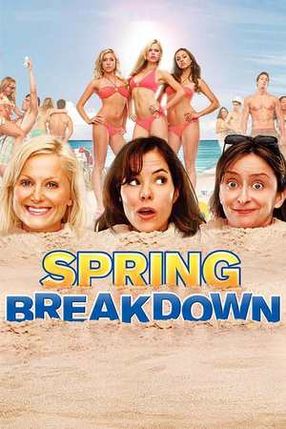 Poster: Spring Breakdown - Radauhennen im zweiten Frühling