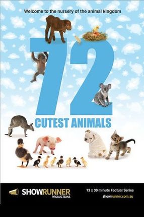 Poster: 72 Cutest Animals