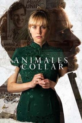 Poster: Animales sin collar