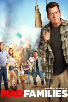 Poster: Mad Families