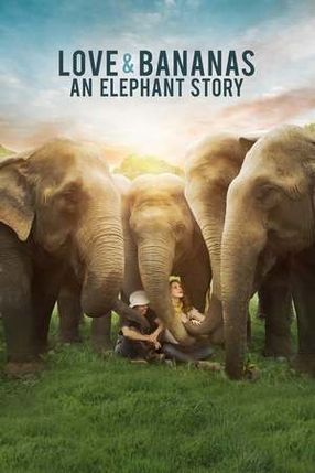 Poster: Love & Bananas: An Elephant Story