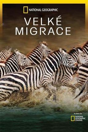 Poster: Das große Wunder der Tierwanderungen