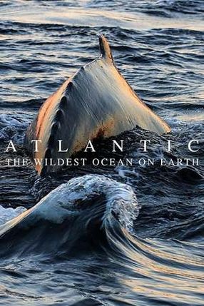 Poster: Wilder Atlantik - Ozean der Extreme