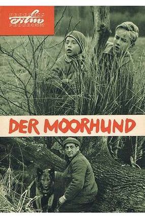 Poster: Der Moorhund