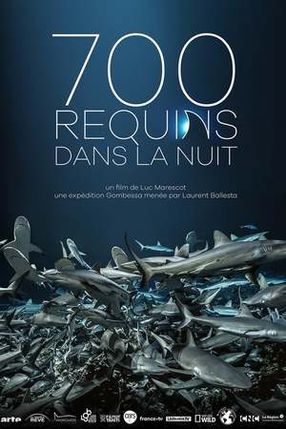 Poster: 700 Haie in der Nacht