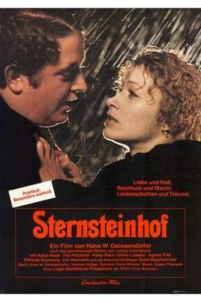 Poster: Der Sternsteinhof