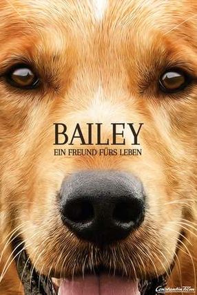 Poster: Bailey – Ein Freund fürs Leben