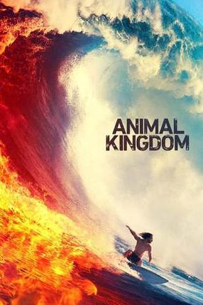 Poster: Animal Kingdom
