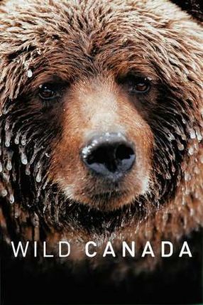 Poster: Wild Canada