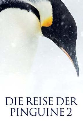 Poster: Die Reise der Pinguine 2