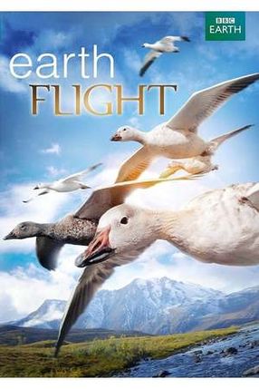 Poster: Die fantastische Reise der Vögel