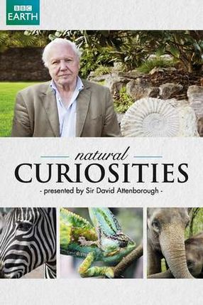 Poster: David Attenborough's Natural Curiosities
