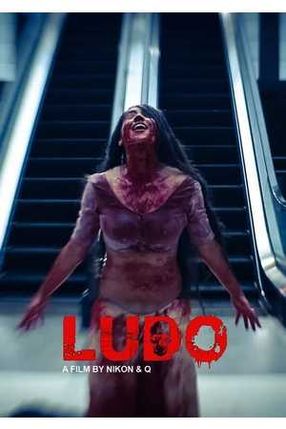 Poster: Ludo