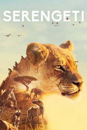 Poster: Serengeti